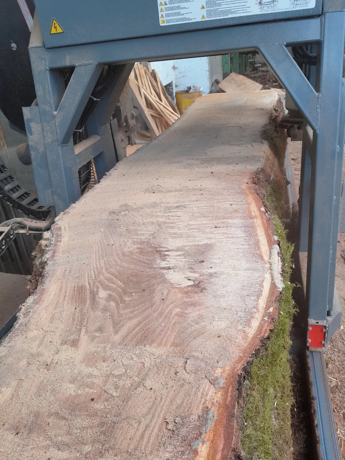 Baum in der Bandsäge